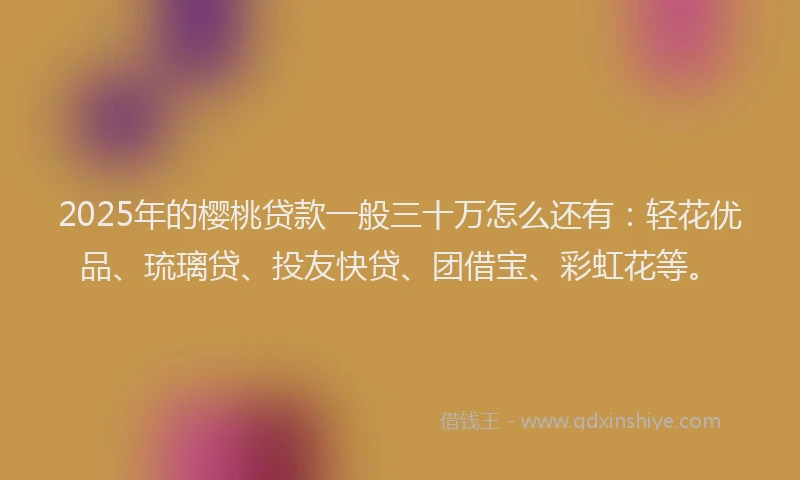 2025年的樱桃贷款一般三十万怎么还有：轻花优品、琉璃贷、投友快贷、团借宝、彩虹花等。