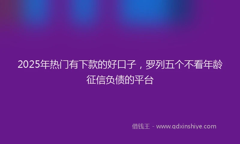 2025年热门有下款的好口子，罗列五个不看年龄征信负债的平台