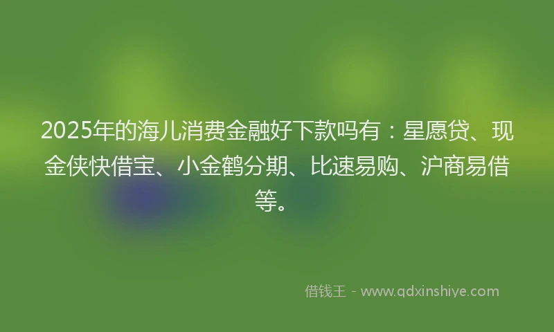 2025年的海儿消费金融好下款吗有：星愿贷、现金侠快借宝、小金鹤分期、比速易购、沪商易借等。