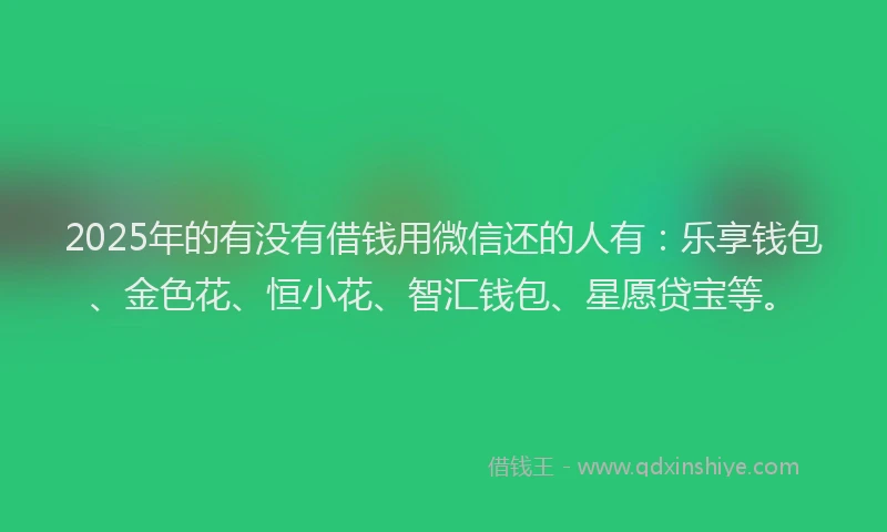 2025年的有没有借钱用微信还的人有:乐享钱包、金色花、恒小花、智汇钱包、星愿贷宝等。