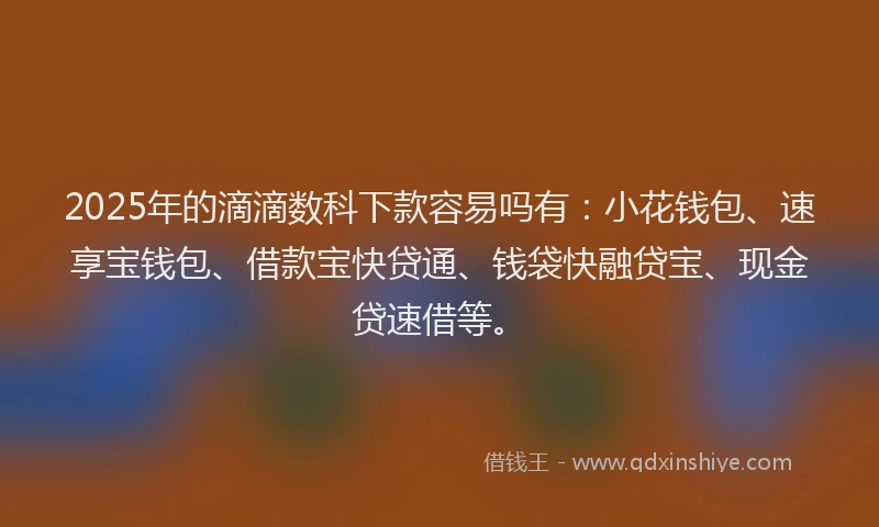 2025年的滴滴数科下款容易吗有:小花钱包、速享宝钱包、借款宝快贷通、钱袋快融贷宝、现金贷速借等。