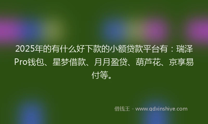 2025年的有什么好下款的小额贷款平台有:瑞泽Pro钱包、星梦借款、月月盈贷、葫芦花、京享易付等。