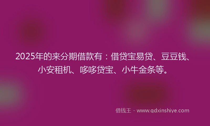 2025年的来分期借款有：借贷宝易贷、豆豆钱、小安租机、哆哆贷宝、小牛金条等。