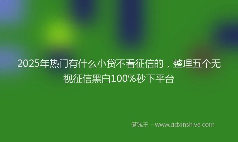 2025年热门有什么小贷不看征信的，整理五个无视征信黑白100%秒下平台