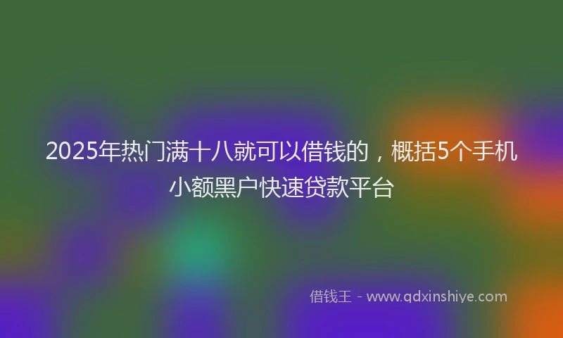 2025年热门满十八就可以借钱的，概括5个手机小额黑户快速贷款平台