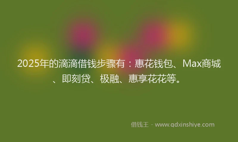 2025年的滴滴借钱步骤有：惠花钱包、Max商城、即刻贷、极融、惠享花花等。