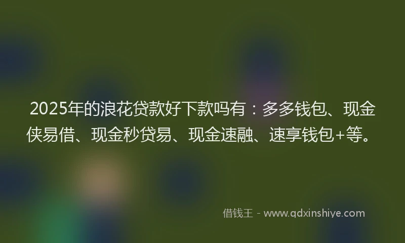 2025年的浪花贷款好下款吗有：多多钱包、现金侠易借、现金秒贷易、现金速融、速享钱包+等。