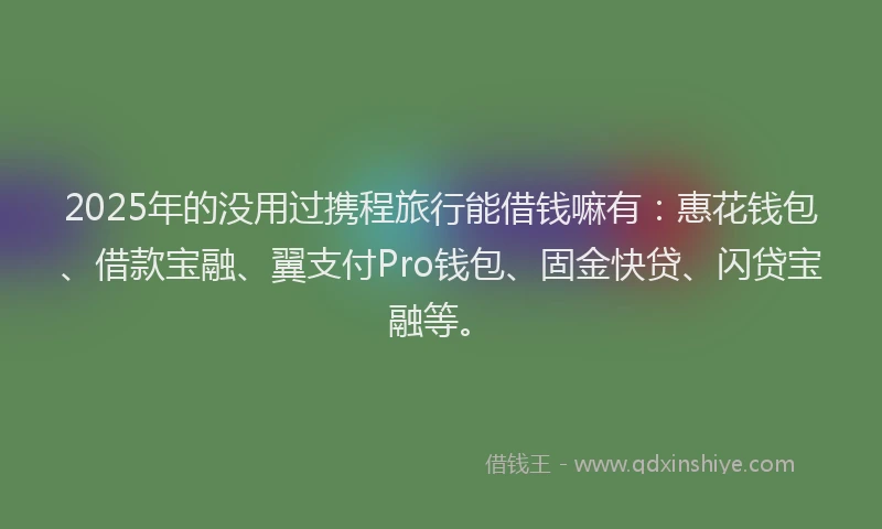 2025年的没用过携程旅行能借钱嘛有：惠花钱包、借款宝融、翼支付Pro钱包、固金快贷、闪贷宝融等。