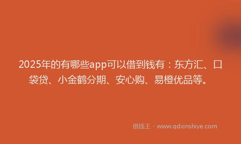2025年的有哪些app可以借到钱有：东方汇、口袋贷、小金鹤分期、安心购、易橙优品等。