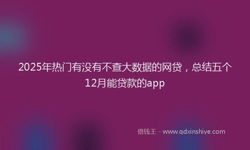 2025年热门有没有不查大数据的网贷，总结五个12月能贷款的app