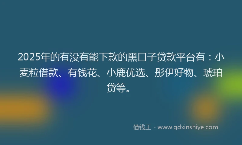 2025年的有没有能下款的黑口子贷款平台有：小麦粒借款、有钱花、小鹿优选、彤伊好物、琥珀贷等。