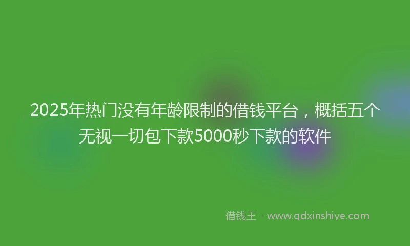 2025年热门没有年龄限制的借钱平台，概括五个无视一切包下款5000秒下款的软件