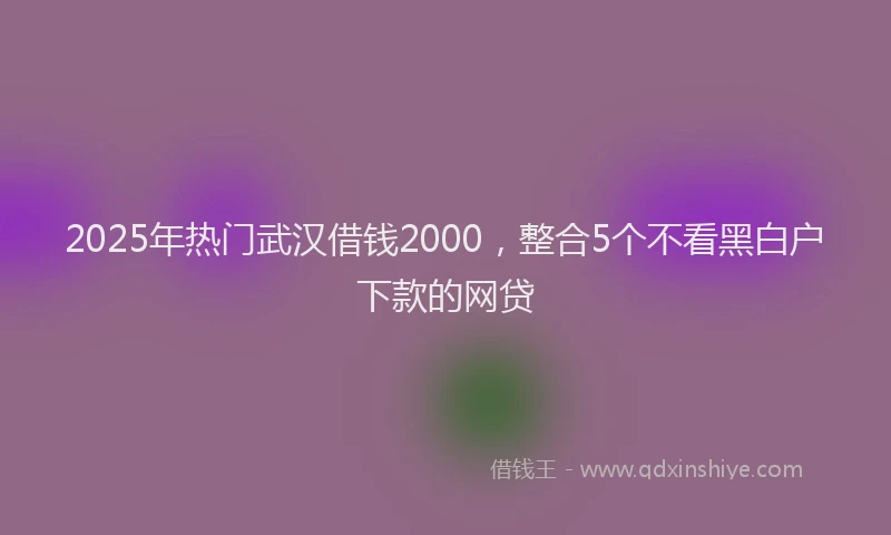 2025年热门武汉借钱2000,整合5个不看黑白户下款的网贷