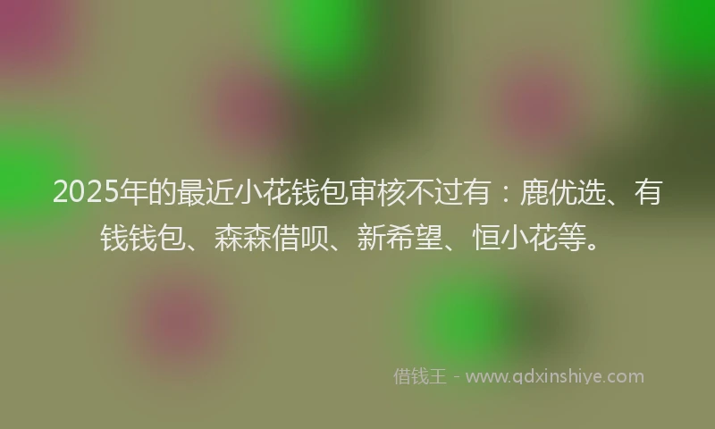 2025年的最近小花钱包审核不过有:鹿优选、有钱钱包、森森借呗、新希望、恒小花等。
