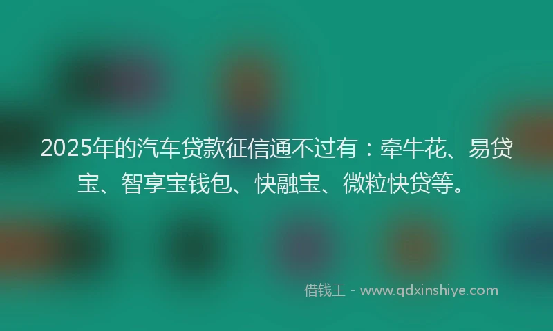 2025年的汽车贷款征信通不过有：牵牛花、易贷宝、智享宝钱包、快融宝、微粒快贷等。