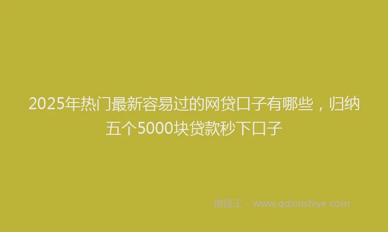 2025年热门最新容易过的网贷口子有哪些，归纳五个5000块贷款秒下口子