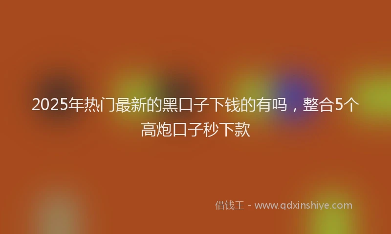 2025年热门最新的黑口子下钱的有吗,整合5个高炮口子秒下款