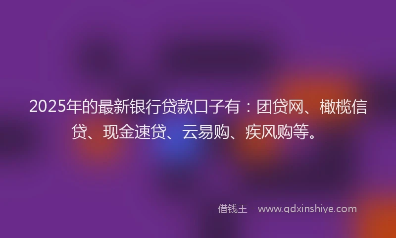 2025年的最新银行贷款口子有：团贷网、橄榄信贷、现金速贷、云易购、疾风购等。