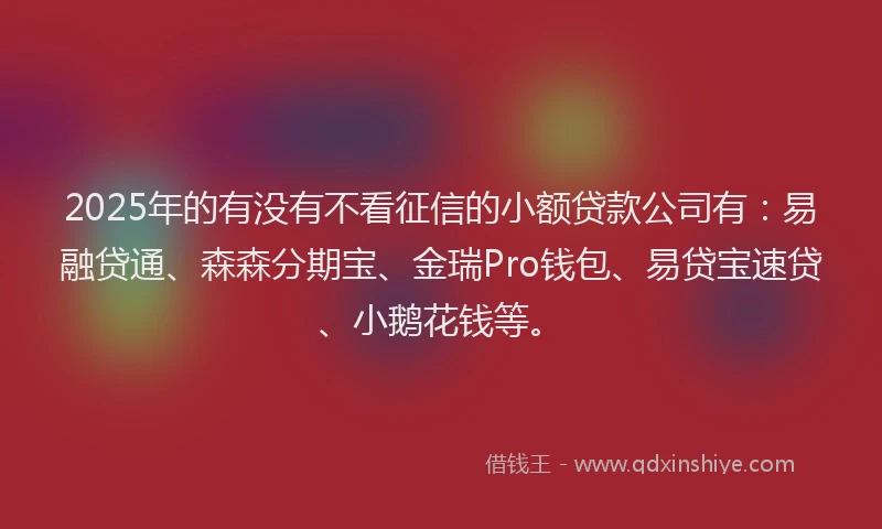2025年的有没有不看征信的小额贷款公司有：易融贷通、森森分期宝、金瑞Pro钱包、易贷宝速贷、小鹅花钱等。