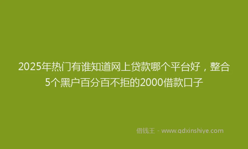 2025年热门有谁知道网上贷款哪个平台好,整合5个黑户百分百不拒的2000借款口子