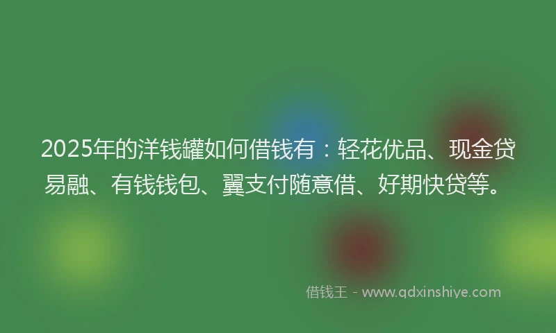 2025年的洋钱罐如何借钱有：轻花优品、现金贷易融、有钱钱包、翼支付随意借、好期快贷等。