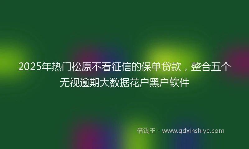 2025年热门松原不看征信的保单贷款，整合五个无视逾期大数据花户黑户软件