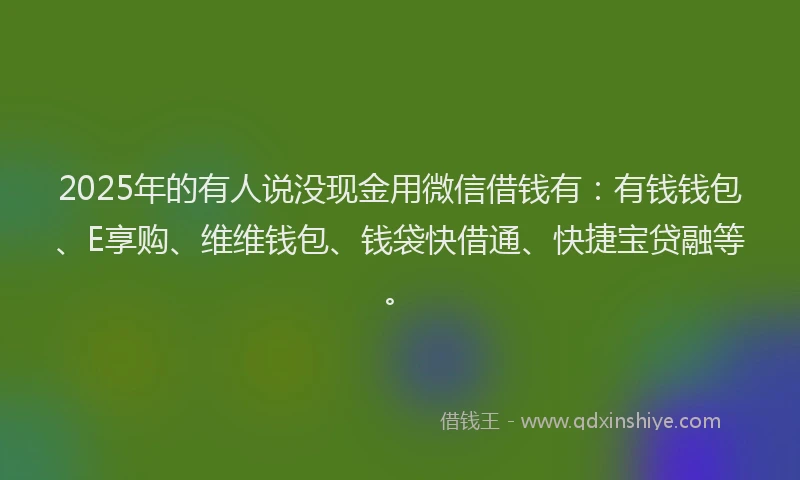 2025年的有人说没现金用微信借钱有：有钱钱包、E享购、维维钱包、钱袋快借通、快捷宝贷融等。