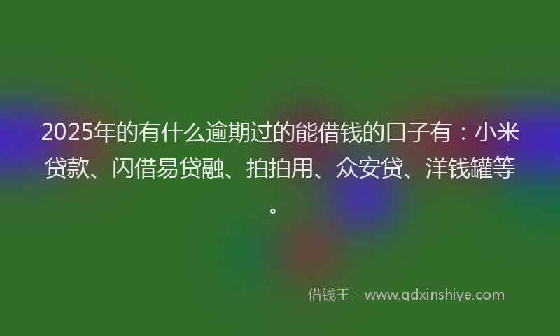 2025年的有什么逾期过的能借钱的口子有：小米贷款、闪借易贷融、拍拍用、众安贷、洋钱罐等。