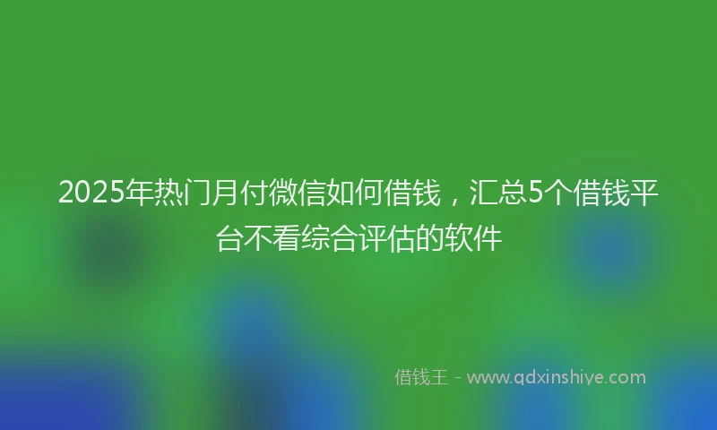 2025年热门月付微信如何借钱，汇总5个借钱平台不看综合评估的软件