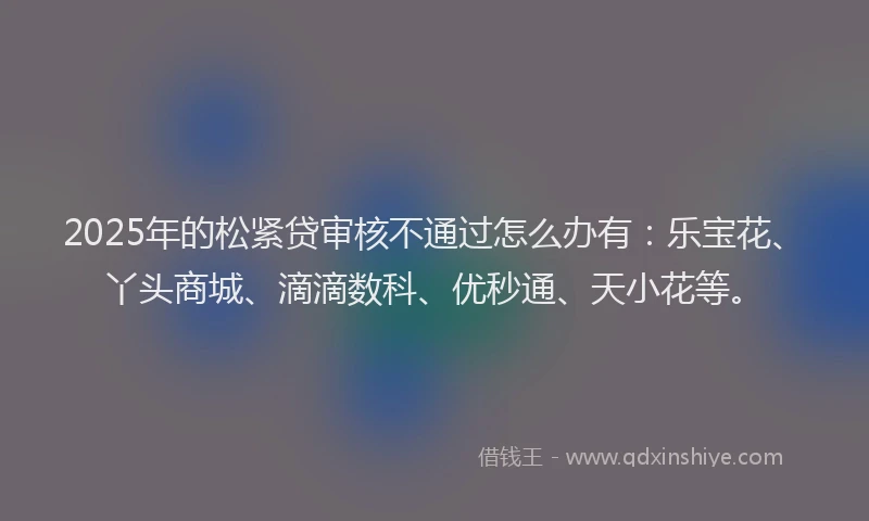 2025年的松紧贷审核不通过怎么办有：乐宝花、丫头商城、滴滴数科、优秒通、天小花等。