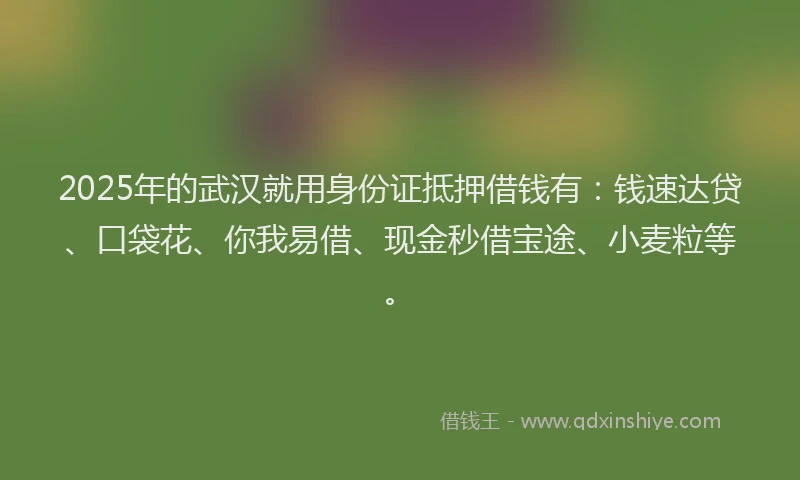 2025年的武汉就用身份证抵押借钱有：钱速达贷、口袋花、你我易借、现金秒借宝途、小麦粒等。