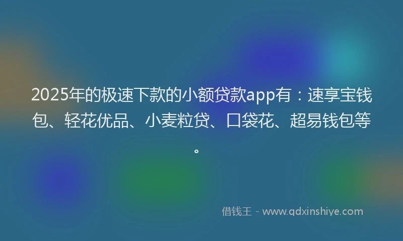 2025年的极速下款的小额贷款app有：速享宝钱包、轻花优品、小麦粒贷、口袋花、超易钱包等。