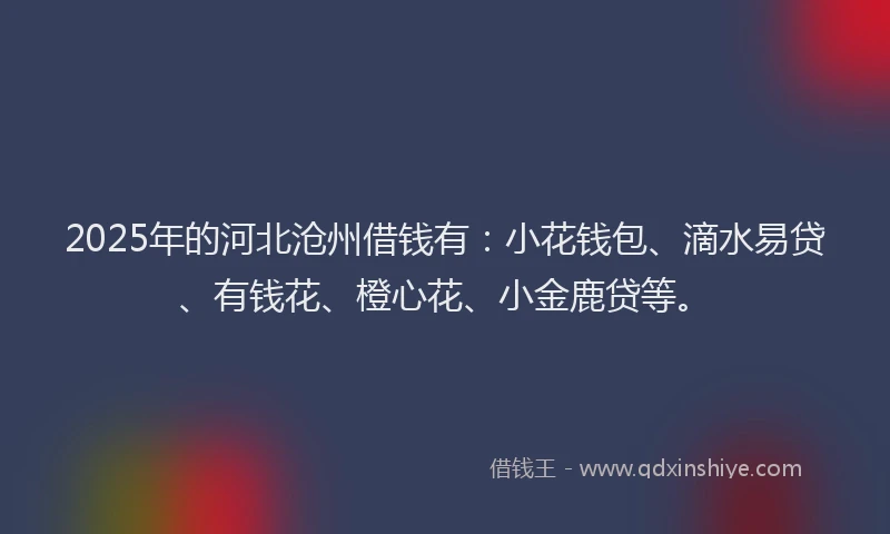 2025年的河北沧州借钱有：小花钱包、滴水易贷、有钱花、橙心花、小金鹿贷等。