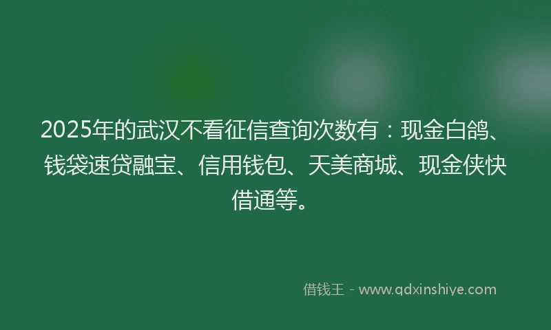 2025年的武汉不看征信查询次数有：现金白鸽、钱袋速贷融宝、信用钱包、天美商城、现金侠快借通等。