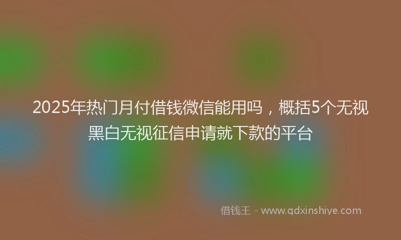 2025年热门月付借钱微信能用吗，概括5个无视黑白无视征信申请就下款的平台