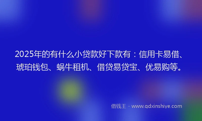 2025年的有什么小贷款好下款有：信用卡易借、琥珀钱包、蜗牛租机、借贷易贷宝、优易购等。