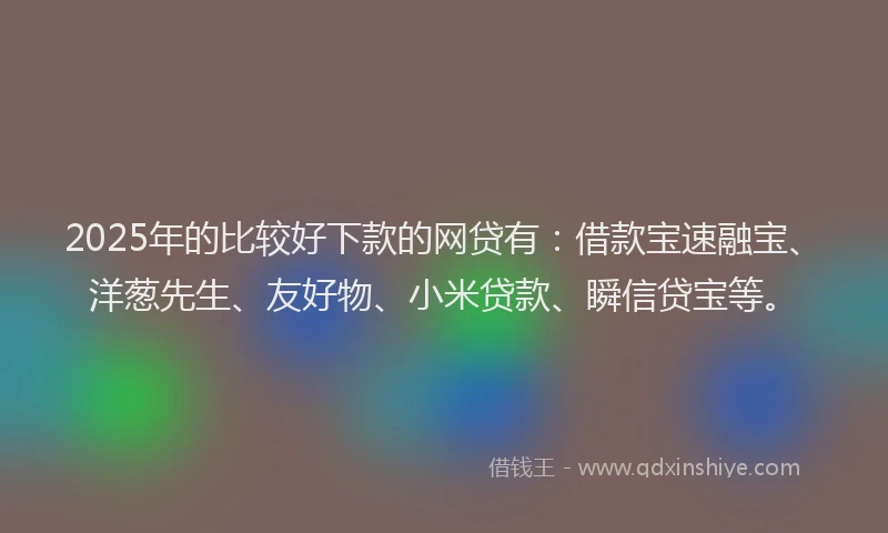 2025年的比较好下款的网贷有:借款宝速融宝、洋葱先生、友好物、小米贷款、瞬信贷宝等。