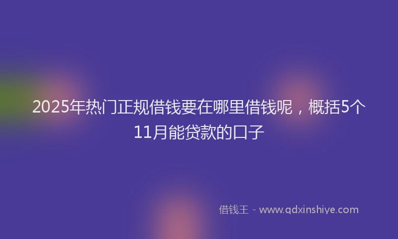 2025年热门正规借钱要在哪里借钱呢，概括5个11月能贷款的口子