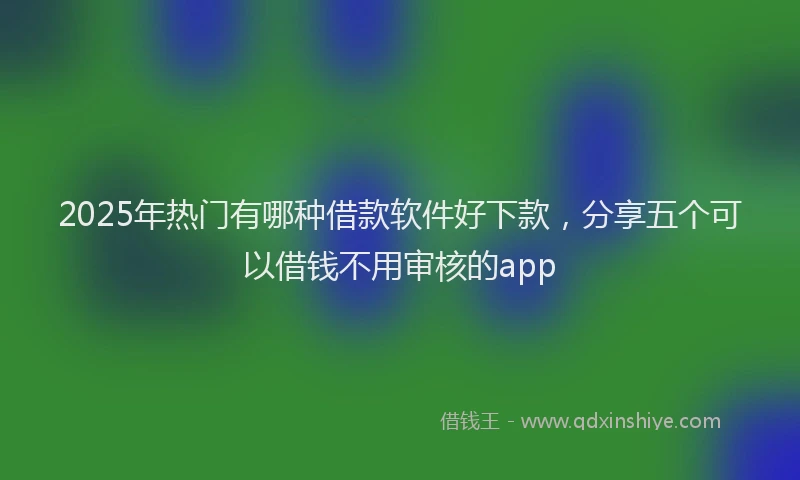 2025年热门有哪种借款软件好下款，分享五个可以借钱不用审核的app