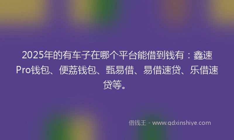 2025年的有车子在哪个平台能借到钱有:鑫速Pro钱包、便荔钱包、甄易借、易借速贷、乐借速贷等。