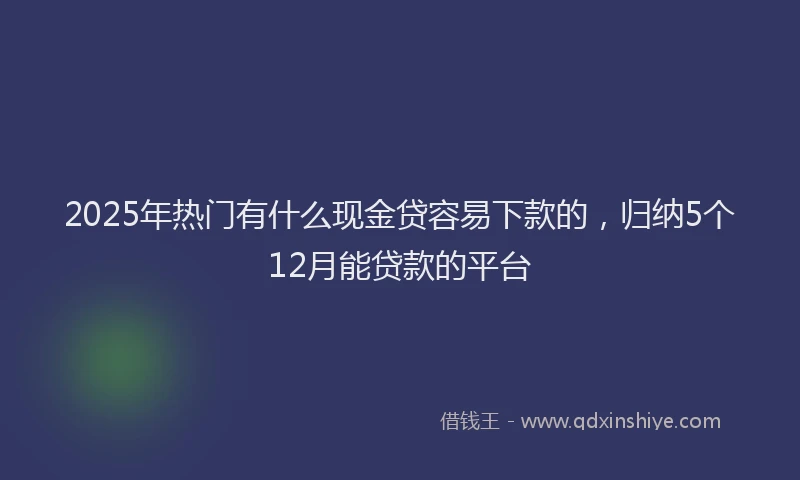 2025年热门有什么现金贷容易下款的，归纳5个12月能贷款的平台