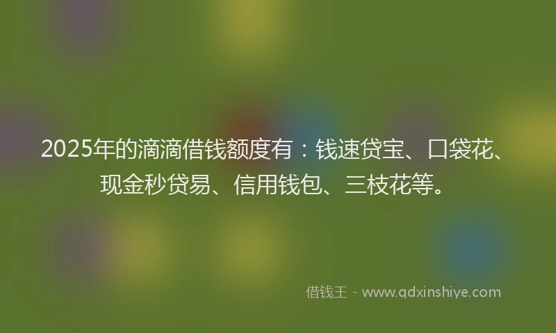 2025年的滴滴借钱额度有：钱速贷宝、口袋花、现金秒贷易、信用钱包、三枝花等。