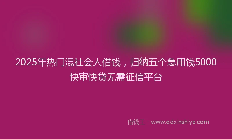 2025年热门混社会人借钱，归纳五个急用钱5000快审快贷无需征信平台