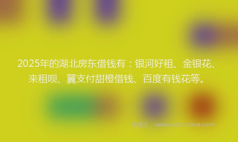 2025年的湖北房东借钱有：银河好租、金银花、来租呗、翼支付甜橙借钱、百度有钱花等。