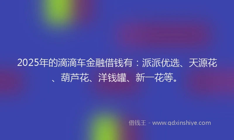 2025年的滴滴车金融借钱有：派派优选、天源花、葫芦花、洋钱罐、新一花等。