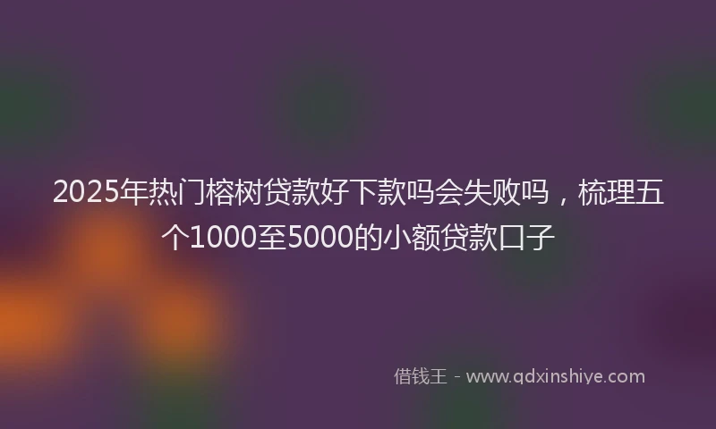 2025年热门榕树贷款好下款吗会失败吗，梳理五个1000至5000的小额贷款口子