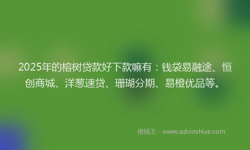 2025年的榕树贷款好下款嘛有：钱袋易融途、恒创商城、洋葱速贷、珊瑚分期、易橙优品等。