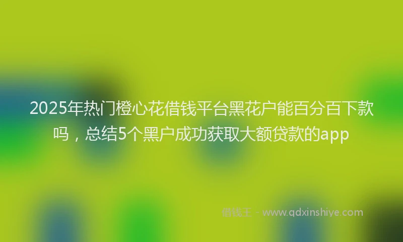 2025年热门橙心花借钱平台黑花户能百分百下款吗，总结5个黑户成功获取大额贷款的app
