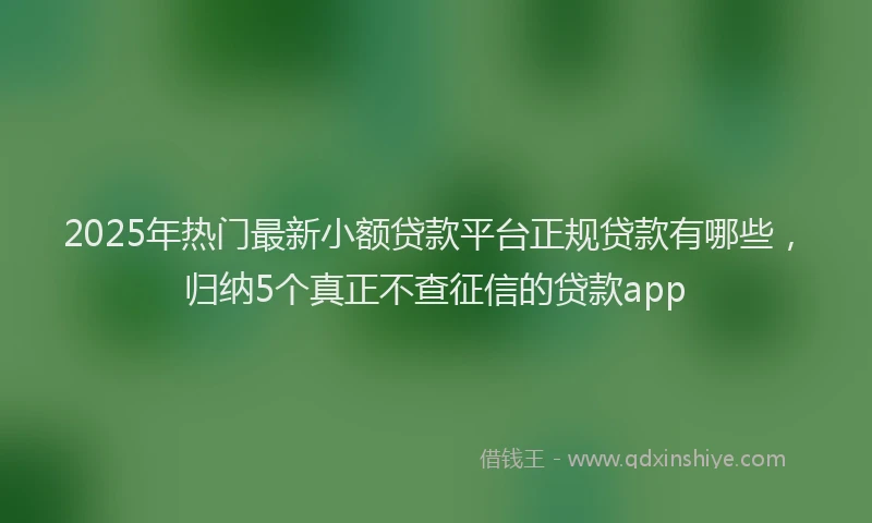 2025年热门最新小额贷款平台正规贷款有哪些，归纳5个真正不查征信的贷款app