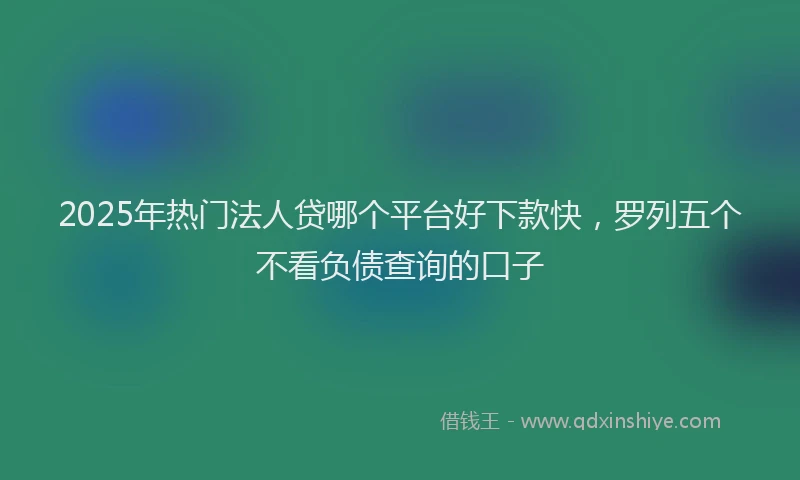 2025年热门法人贷哪个平台好下款快，罗列五个不看负债查询的口子